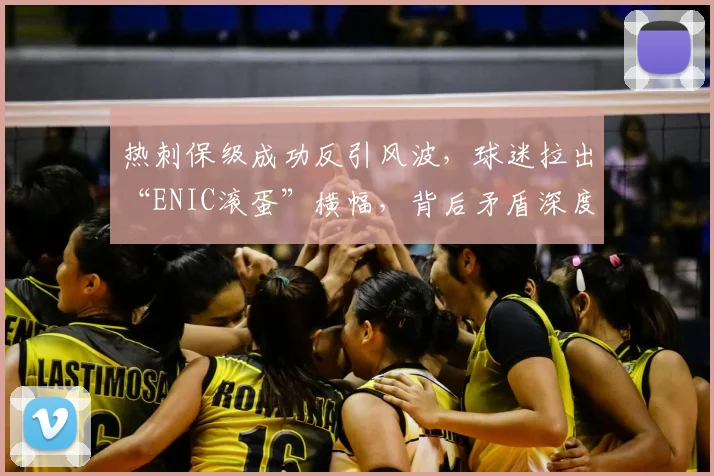 热刺保级成功反引风波,球迷拉出“ENIC滚蛋”横幅,背后矛盾深度解析